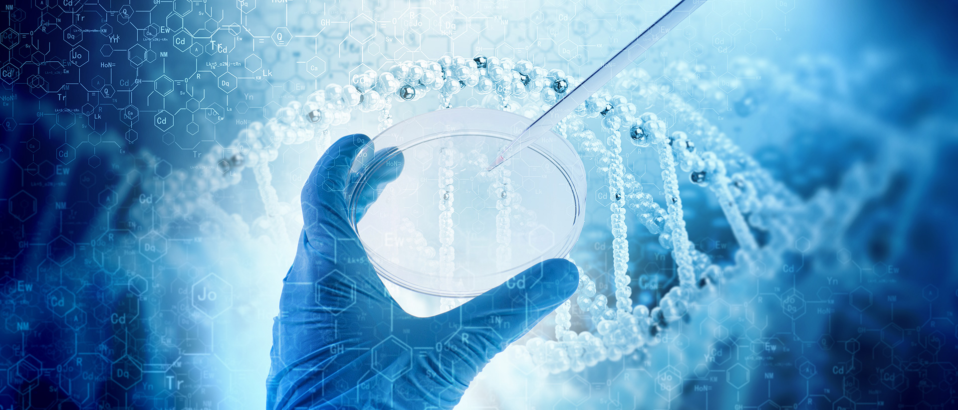 One-Step DNA Purification