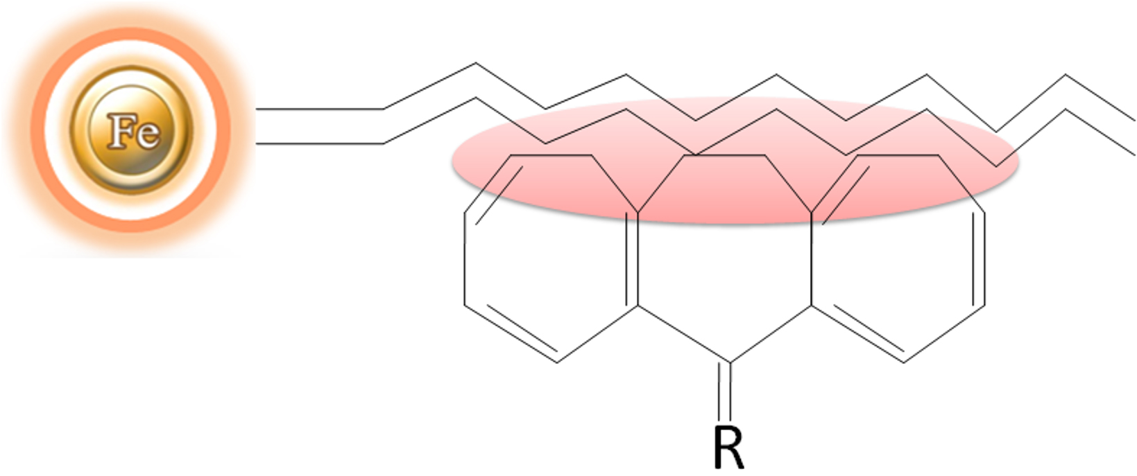 Hydrophobic interaction