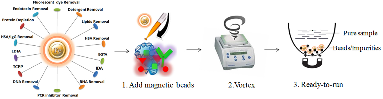 Workflow of One-Step Sample Preparation